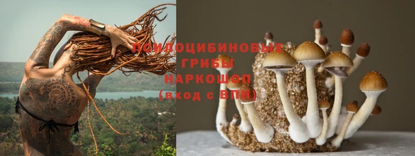 а пвп мука Аркадак